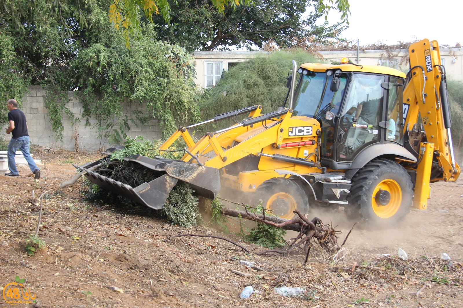 tasoo tandefet (8).jpg